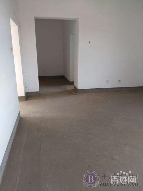 大营街独体别墅超大花园